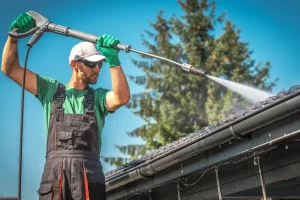 Roof Moss Removal in Vancouver, WA