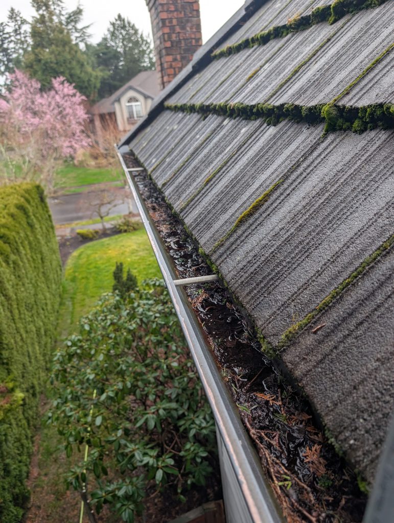 Blocked rain gutter showing buildup of roof litter and plant matter