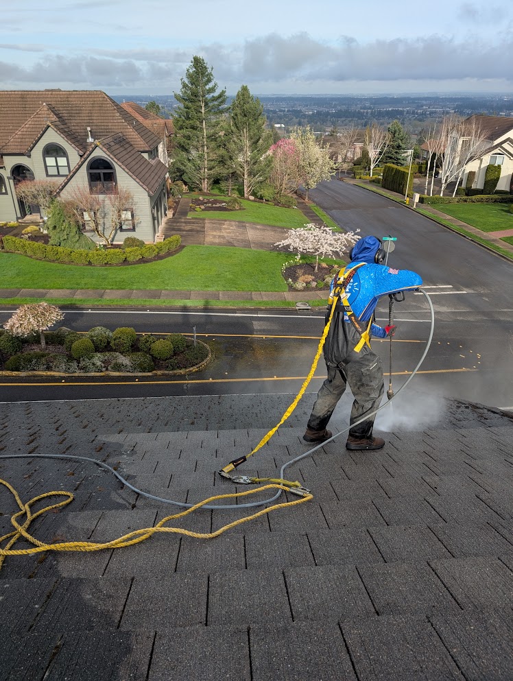 Man softwashing a residential roof to prevent moss, mold, and water damage in Vancouver, WA.