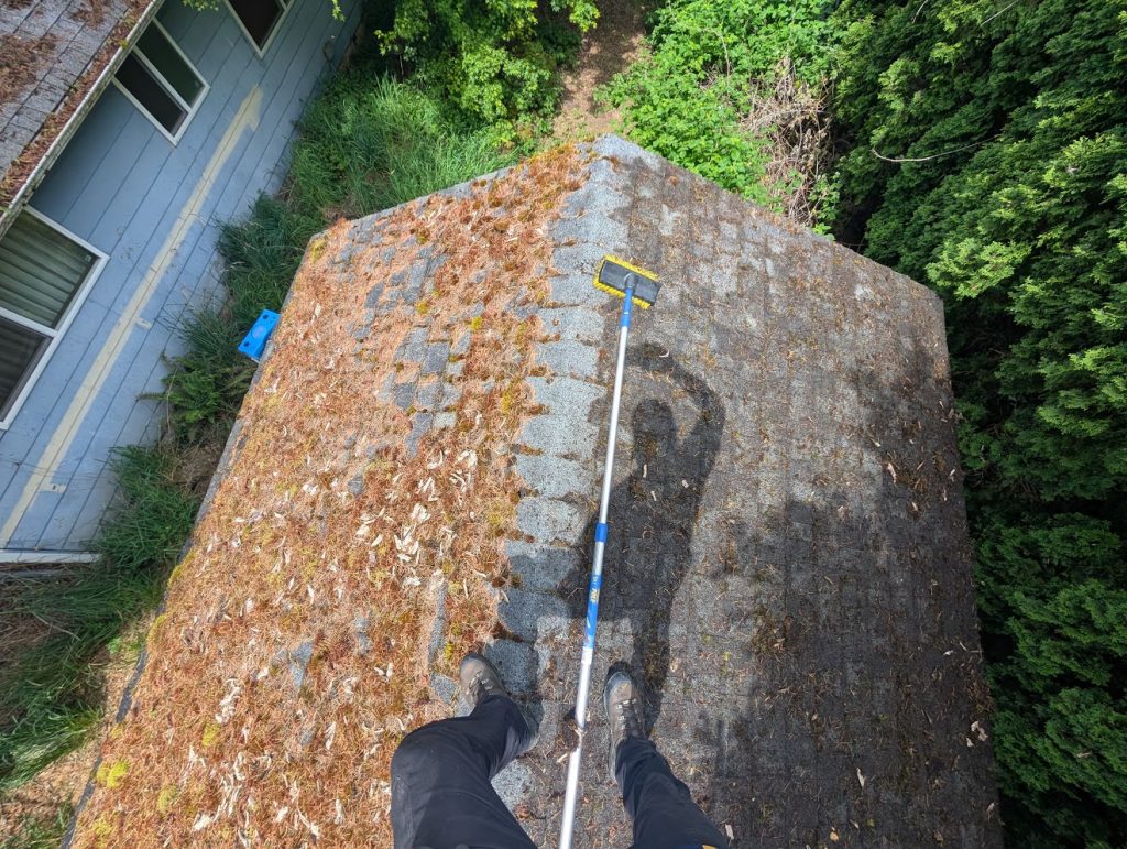 Half of a roof clean and brushed, the other half covered in moss and debris