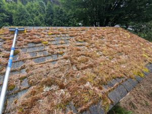 roof with leaves and debris being cleaned with a broom